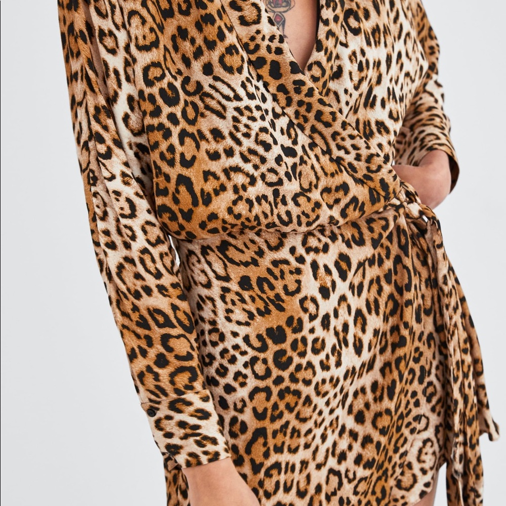 Zara Leopard Print Jumpsuit/Romper Dress